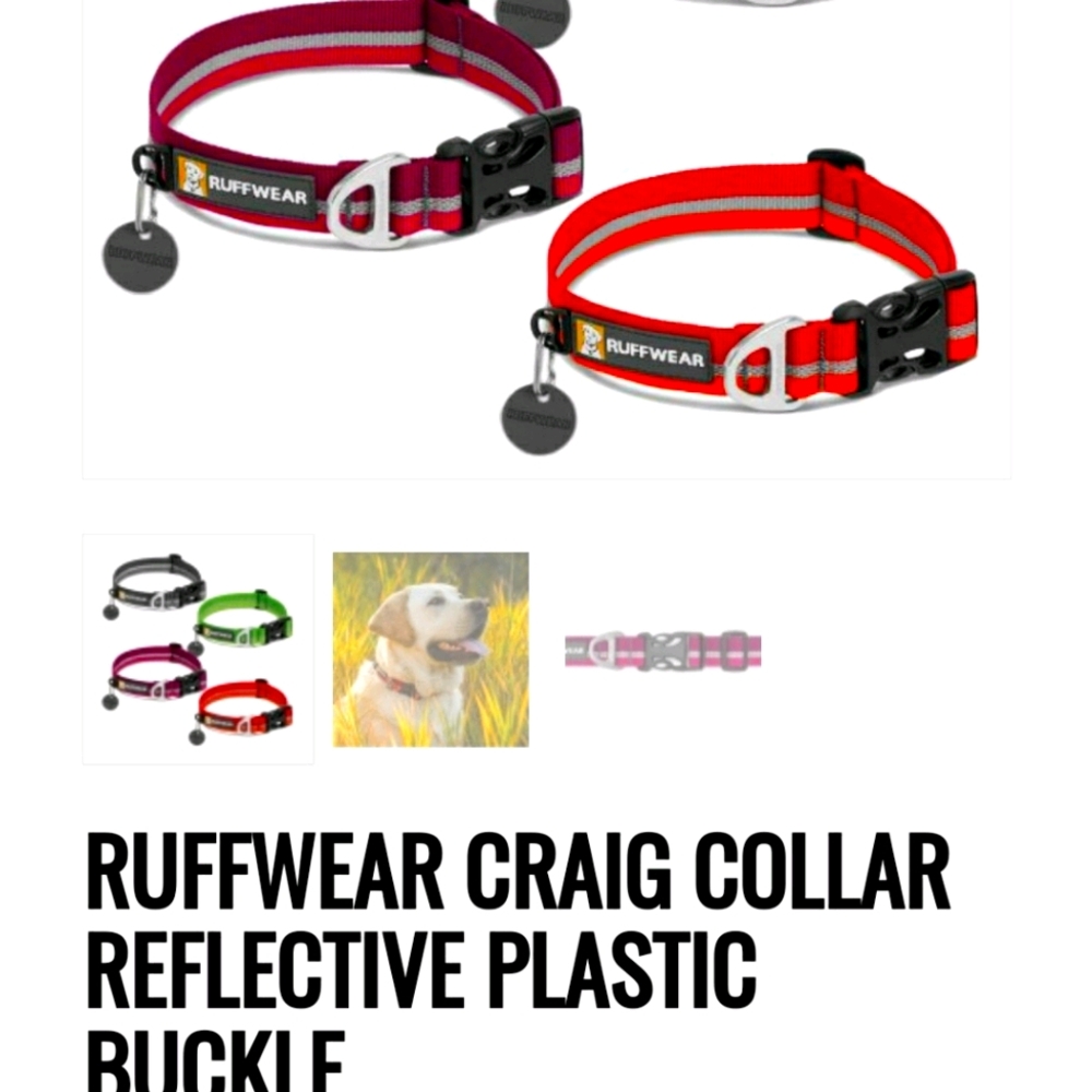 Ruffwear collar